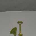 Natural Xiuyan Jade Roller & Gua Sha Set - Facial and Body Massage Tools