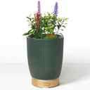 Earnest Living Essential Oil Diffuser Ceramic Artificial Succulent Plants Potted Diffuser 100 ml for Lavender Essential Oils Timers Night Lights and Auto Off Humidifier Aromatherapy Diffusers for Gift (Green)