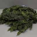 Artificial Cedar Garland for Christmas Decoration - Realistic Winter Greenery Garland for Mantel, Fireplace, Table, Door, Holiday Indoor Outdoor Decor 6FT (6FT Without Wire)