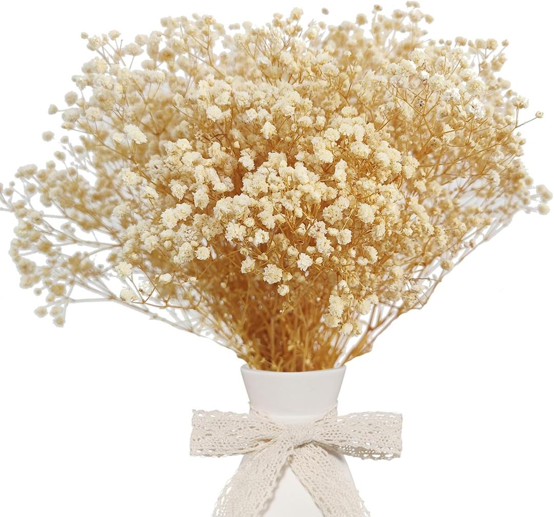 Dried Babys Breath Bulk Natural Dried Gypsophila Flowers White Babys Breath Stems for Home Decor, Weddings, Crafts