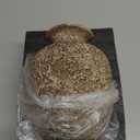 Brown Ceramic Vase - 7 Inch Rustic Textured Vase for Flower, Terracotta Farmhouse Vases for Home Decor, Coffee Table, Artificial Branches, Night Stand Decor