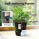 Flower and Plant Pot, Self Watering Plastic Plants Planter with Drainage Holes and Saucers, Modern Outdoor Indoor Decorative Flower Pot for Plants, Flowers, Herbs, Succulents (Grey, 6.5 inch)