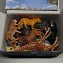 13 Pack Wild Animal Toys with Educational Booklet and Gift Box, Realistic Safari Animals Figures for Kids, Plastic Zoo Animals Figurines for Toddler Ages 1-3, Jungle Birthday Party Favor for Boy Girl