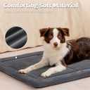 MADE 4 PETS Dog Crate Pad Bed for Small Dogs, Washable & Reversible, Anti-Slip Kennel Mat for Cozy Sleeping, Soft Fluffy Dog Bed for Indoor & Outdoor Use, 24"x18", Dark Gray