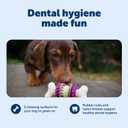 PetSafe Busy Buddy Bristle Bone Dog Chew Toy - Treat Holding Toothbrush Toy for Hard Chewers - Helps Keep Your Dog's Teeth Clean - Durable, Interactive - Purple, Large