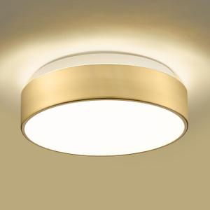 AUTELO 2-Light Close to Ceiling Light Fixture, 11 inch Frosted Glass Shade Flush Mount Ceiling Light Fixture in Antique Brass Finish, E26 Socket for Living Room Hallway Bedroom C3312 BRZ (Brushed Gold,1-Pack E26 12-Inch
)