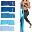 5 Pcs Professional Resistance Bands. Latex-Free, Elastic Band, Work Out Bands, Stretch Bands for Working Out Women or Men, Exercise Bands Set for Physical Therapy, Yoga, Pilates (Gradient Blue Set)