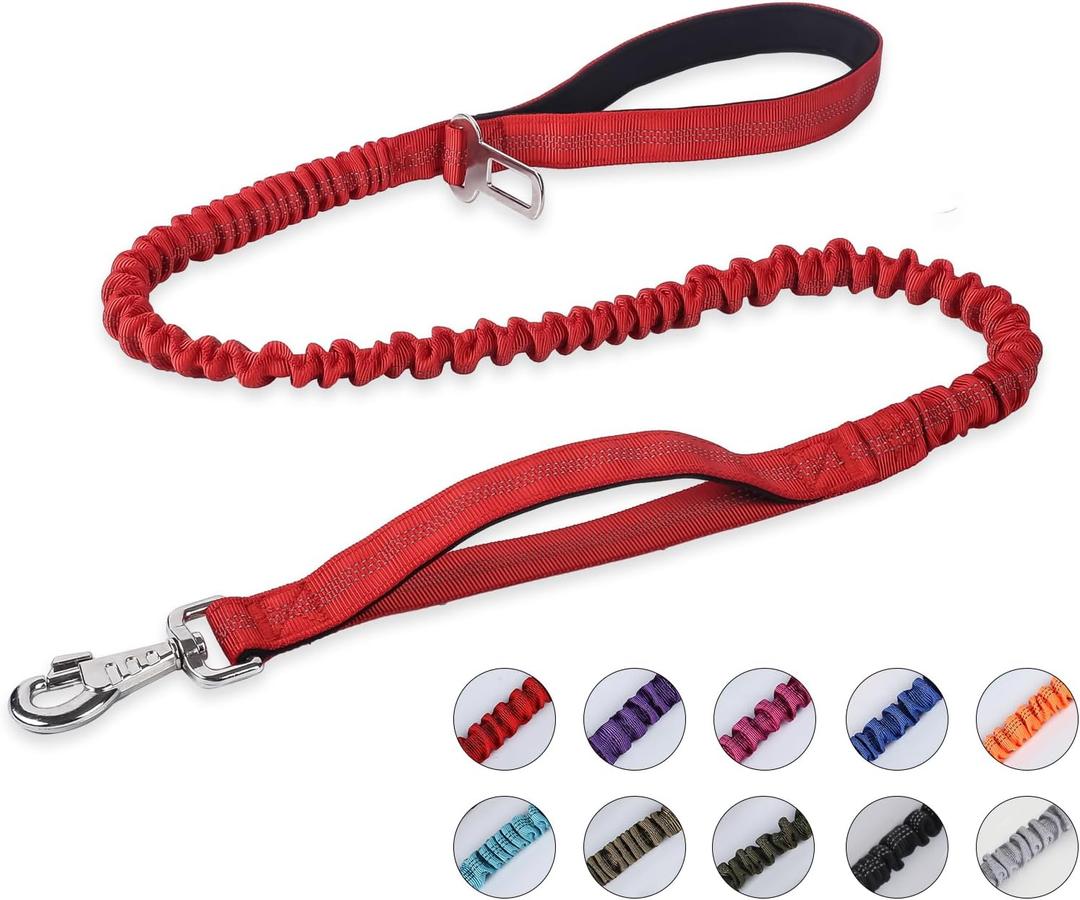 BUMBIN 6Ft Bungee Leash With 2 Handles for Large, Medium, Small Dogs - Heavy Duty, No Pull Shock Absorbing With Car Seat Belt for Training, Red