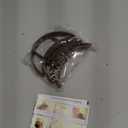 5 Pc Bump It Hair Accessory - Bump It Up Headband & Clips for Volume (Brown)