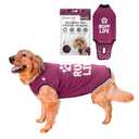 BellyGuard Recovery Suit for Dogs, Comfy Dog Surgery Suit, Female Spay and Male Neuter Onesie for Post-Op Care