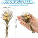 PATIKIL Mini Dried Flower Bouquet, 6 Pcs Rose Natural Wildflower with Stem Decor Baby's Breath Boho Floral Plant Flower for Crafts DIY Photo Props Gift Wedding Decor, Beige