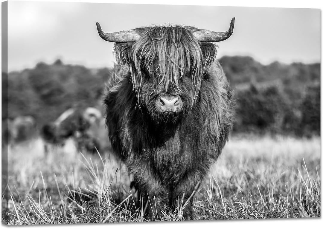 YIOZHAOFH Black and White Highland Cow Canvas Wall Art Print Cattle Pictures Wall Decor Animal Posters Artwork Framed for Bedroom Bathroom Living Room(16" L x 24" W)