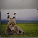 Baby Donkey, 30" x 40" Print on Canvas Wall Art