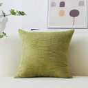 Home Brilliant 20x20 Pillow Cover Solid Decorative Plush Throw Pillow Cover Soft Velvet Cushion Cover for Garden Backyard Patio Decor, 20 x 20 inch (50cm), Grass Green