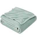 Hansleep Fleece Celadon Twin Blanket, Super Soft Flannel Fuzzy Plush Cozy Blanket for All Seasons, Celadon, Twin 50x40 Inches
