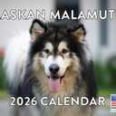 Alaskan Malamute Calendar 2026 Monthly Wall Calender 12 Month | American Made In The USA