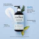 CURLSMITH Fragrance-Free Conditioner - Gently Detangles, Soften and Smooths Hair for Silky Curls (12 oz)