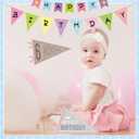 VitalCozy 14 Pcs Baby Milestone Pennant Signs Monthly Milestone Banner Flags Pennant Triangle Banner Age Flag Signs for Boy Girl Newborn Birthday Party Decor(Ocean Color)