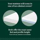 Zinus 5 Inch Twin Cooling Essential Memory Foam Mattress [NewVersion], Fiberglass Free, Medium Feel, Breathable Cooling Layers, Certified Safe Materials (White)