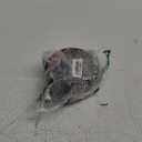 ELECDER i37 Kids Headphones for School Children Girls Boys Teens Foldable Adjustable On Ear Headphones with 3.5mm Jack for Smartphones Chromebook Laptop Computer PC Tablets Travel Black/Red