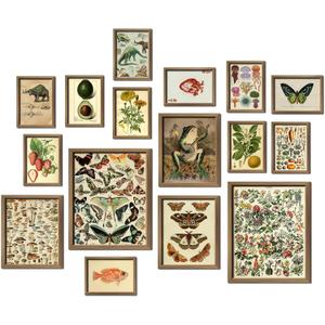 ANERZA 16 PCS Framed Vintage Wall Art Decor, Botanical Cottagecore Wall Prints for Bedroom, Gallery Wall Frame Set, Farmhouse Posters for Living Room Aesthetic, Rustic Dorm Home Collage Kit (12"x15" Framed, Drab)