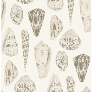 Cream Coquina Scalamandre Self Adhesive Wallpaper, Off-White, 3.5" x 12.6"