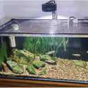 Magnetic Aquarium lid Fish Tank Hood top Cover Anti-Jumping net Cover mesh to Protect Fishs Jumping Out of Fishes Tank Hoods