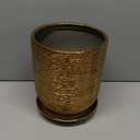 Amazon.com : SUNPOTFOR Ceramic Flower Pot for Indoor Plants - 10 Inch Plant Pot with Drainage Hole and Saucer, Decorative Round Outdoor Indoor Planter, Housewarming Gifts, Home Garden Decor, Gold : Patio, Lawn & Garden