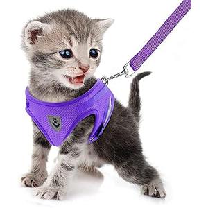 FEimaX Dog Harness and Leash Set for Walking, Soft Mesh Adjustable Easy Control Lightweight Cat Vest Harnesses with Reflective Strips, Escape Proof Small Dogs Cats Vests (Purple)