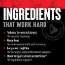 Animal Stak Complete Natural Hormone Booster Supplement with Tribulus Natural Testosterone Booster for Athletes Contains Estrogen Blockers 1 Month Cycle (EXP 08/01/27)