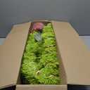 3ft Whimsical Christmas Tree Large Lime Green Artificial Curved Prelit Xmas Tree with Red Ball and 30 LED Light String for Indoor Outdoor Porch Christmas Decorations