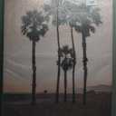 Stupell Industries Stanta Monica Palms Pink Canvas Wall Art design by Natalie Carpentieri, 45 x 30