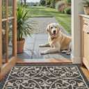 DEXI Front Door Mat Indoor Entryway, Inside Welcome Entrance Doormat Low Profile Thin, Non Slip Washable Entry Mats for House Floor Dirt Trapper, 20x32, Dark Gray