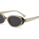 Retro Oval Sunglasses for Women Men Fashion Small Oval Sunglasses 90s Vintage Shades