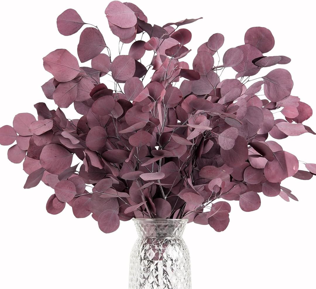 Real Eucalyptus Stems 20PCS Dried Preserved Eucalyptus - Fresh Eucalyptus Silver Dollar Leaves for Shower - Red Branches for Wedding Home Party Vase Filler Fall Decor