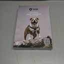 TSPRO Premium Heavy Duty Tactical Dog Harness, No Pull with Padded Control Handle & Quick-Release Buckles, Adjustable Vest for Medium Large Dogs, Walking Hiking Training (Black 25, L) (L (Neck 21.3 - 34.6", Chest 26 - 33"))