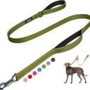 Fida 5 FT Heavy Duty Dog Leash with 2 Comfortable Padded Handles, Traffic Handle & Advanced Easy Snap Hook, Reflective Walking Lead for Large, Medium & Small Breed Dogs, Green (5 Feet (Pack of 1))