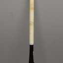 Mizuno CRBN1 Fastpitch Softball Bat | -10/-9/-8 Drop