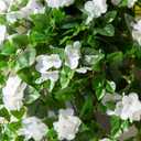 Nearly Natural 41in. UV Resistant Artificial Hydrangea Hanging Plant (Indoor/Outdoor) - Set of 2