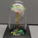 Fvawe Mothers Day Rose Gifts for Mom, Birthday Gifts for Women Moms, Galaxy Crystal Light Up Rose in A Glass Dome, Mothers Day Flowers Presents Girlfriend Wife Sister Grandma Mother Mom from Daughter