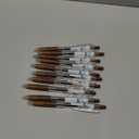 Pilot Juice 0.5mm Gel Ink Ballpoint Pen, Coffee Brown Ink, Value Set