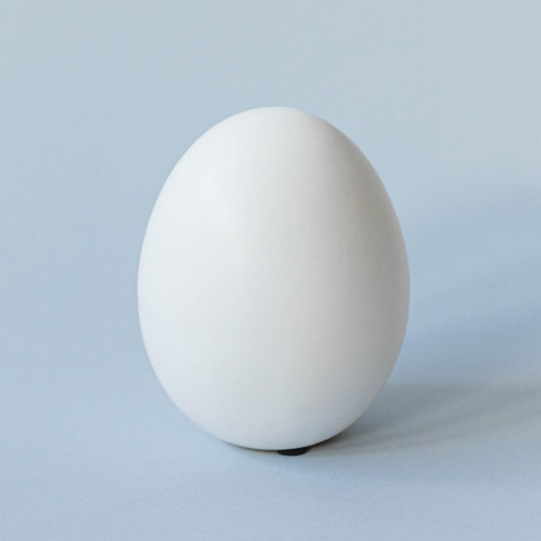 Matte White Ceramic Egg Figurine