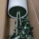 LOMANTO Artificial Olive Trees, 5 ft Tall Fake Olive Trees for Indoor, Faux Olive Silk Tree, Large Olive Plants with White Planter for Home Decor and Housewarming Gift, 1 Pack