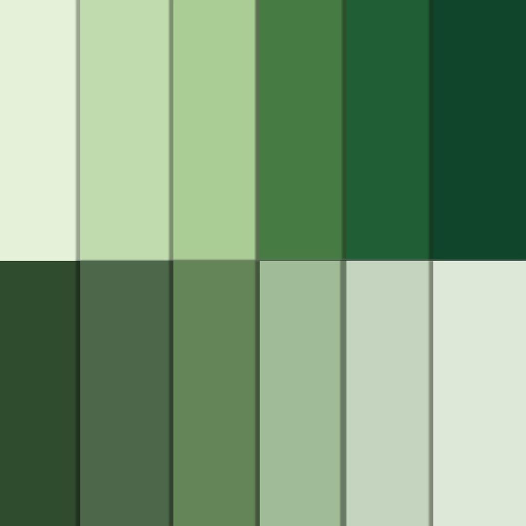 VIVIQUEN 24 Sage Green Pattern Double-Sided Paper, 12-inches Solid Color Textured Scrapbook Paper for DIY Background Card Making