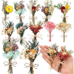 10 Pcs Dried Flowers for Crafts, Mini Dried Flowers Bouquet Bulk for Vase DIY Photo Bridesmaid Gift Birthday Decor