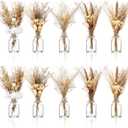 Nuanchu 10 Set Boho Dried Pampas Grass Decor Centerpiece for Wedding 10 Small Glass Vases 10 Dried Pampas Grass Bouquet with Rope for Baby Shower Rustic Bridal Party Farmhouse Decoration