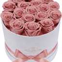 Prifroti 17 Flowers in a Luxury Suede Box, Birthday Gifts for Women, Preserved Flowers, Mothers Day Roses Gift for Mom, Dusty Rose
