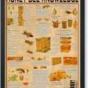 Poster Master Honey Bee Knowledge Poster - Infographic Print - Honey Art - Animal Art - Bee Keeping Art - Educational Art - Typography Art - Great Office or Living Room Decor - 8x10 UNFRAMED Wall Art (Style-16)