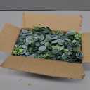 DearHouse Faux Eucalyptus Garland Plant, 2 Pack Artificial Vines Hanging Eucalyptus Leaves Greenery Garland for Wedding Backdrop Arch Wall Decor, 6 Feet/pcs UV Protected Indoor Outdoor