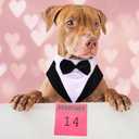 PUMYPOREITY Dog Tuxedo and Bandana Set, Formal Gentleman Dog Attire with Bowtie for Wedding, Birthday, Christmas, 2 Pieces/Pack, L, Black